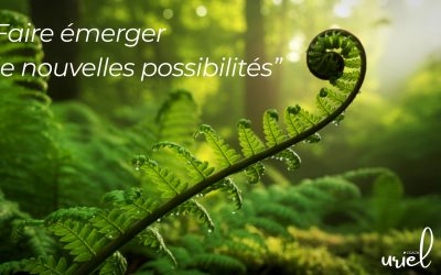 Pourquoi on résiste au changement… même quand il est juste pour nous